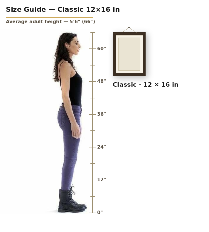 Classic 12 by 16 inch portrait shown to scale next to an average adult