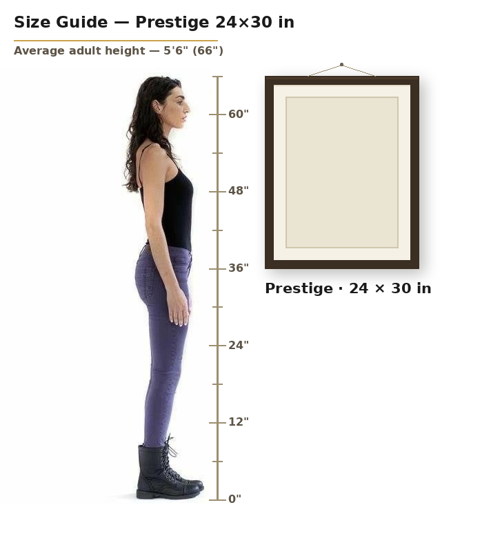 Prestige 24 by 30 inch portrait shown to scale next to an average adult